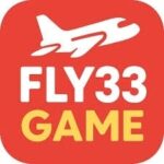 fly33