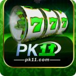 PK11 Game