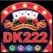 DK222 Game
